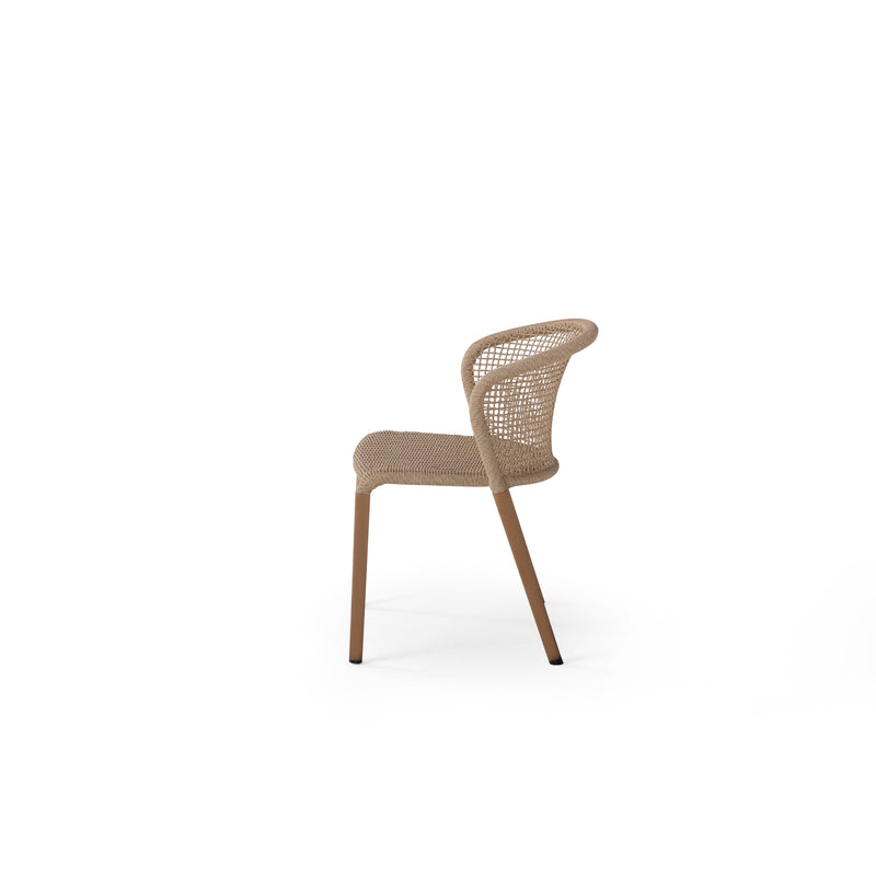 Barletta Arm Chair