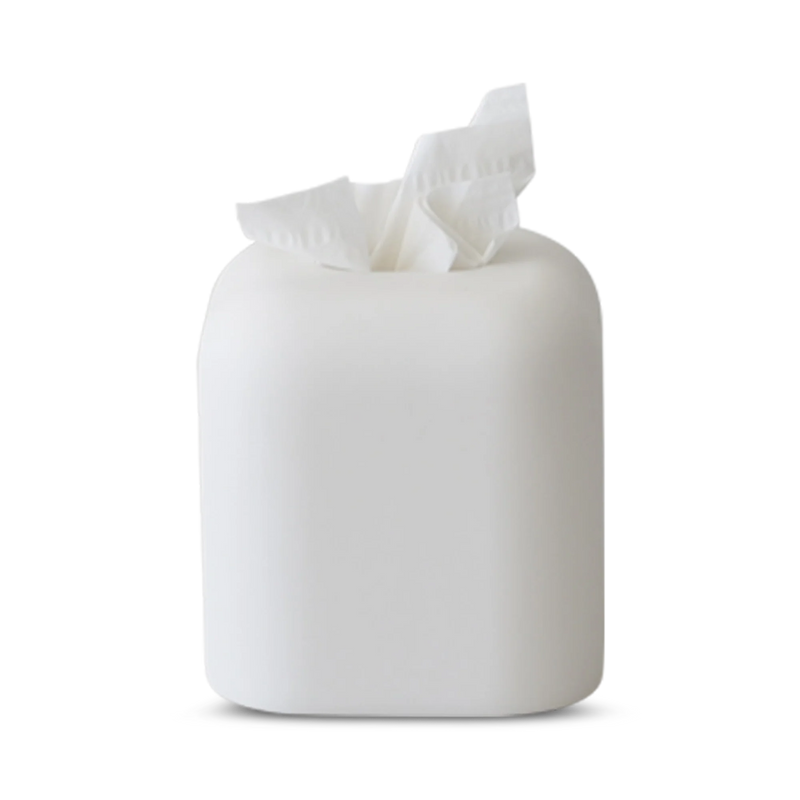 Segment Tissue Box Holder