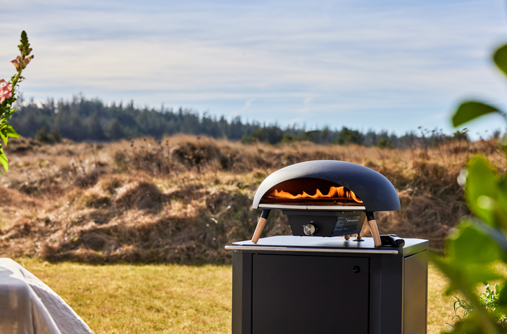 Turtle Gas Powered Pizza Oven - Le Feu - Fire Pits + Grills - HORNE