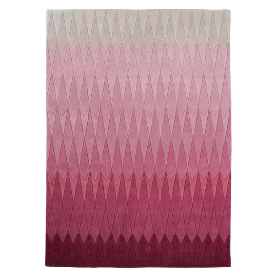 Acacia rug in Acacia Grey 200x300 (6.6' x 9.8')