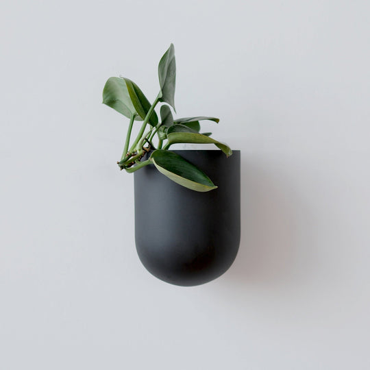Bender Wall Planter - Misewell Pots & Planters - Black - HORNE