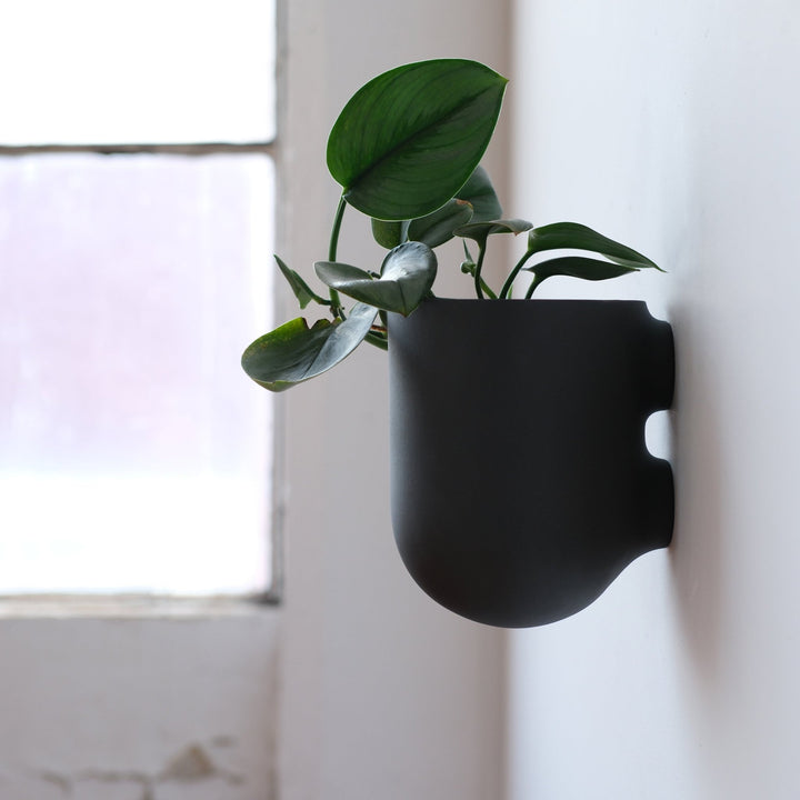 Bender Wall Planter - Misewell Pots & Planters - Coral - HORNE