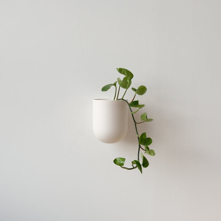 Bender Wall Planter - Misewell Pots & Planters - Bone - HORNE