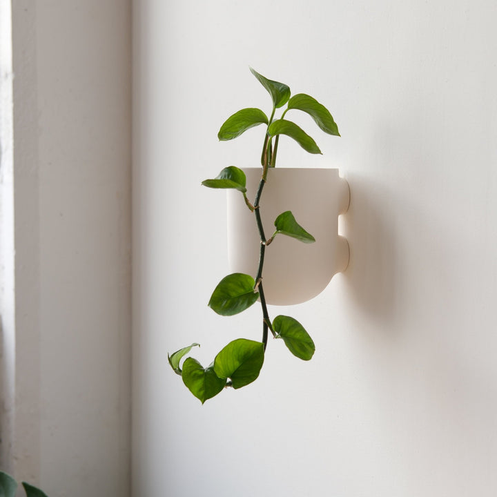 Bender Wall Planter - Misewell Pots & Planters - Coral - HORNE