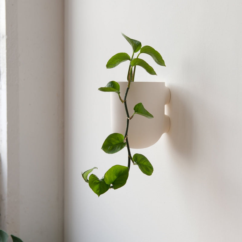 Bender Wall Planter - Misewell Pots & Planters - Coral - HORNE