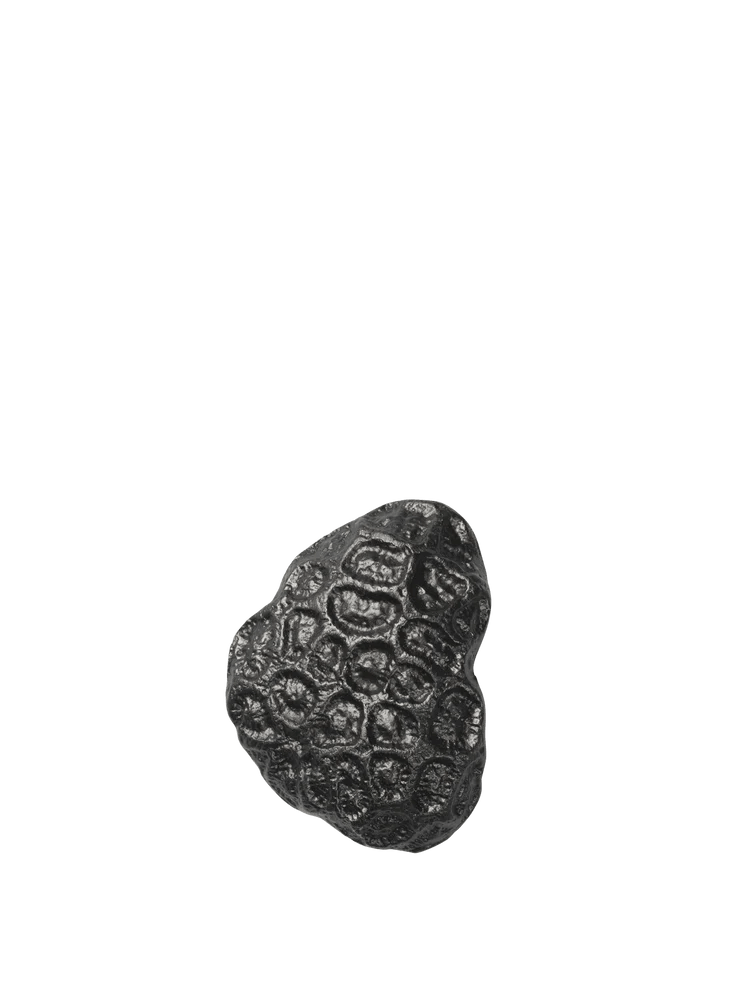 Comber Coral Hook - Ferm Living Hangers & Hooks - Blackened Aluminum - HORNE