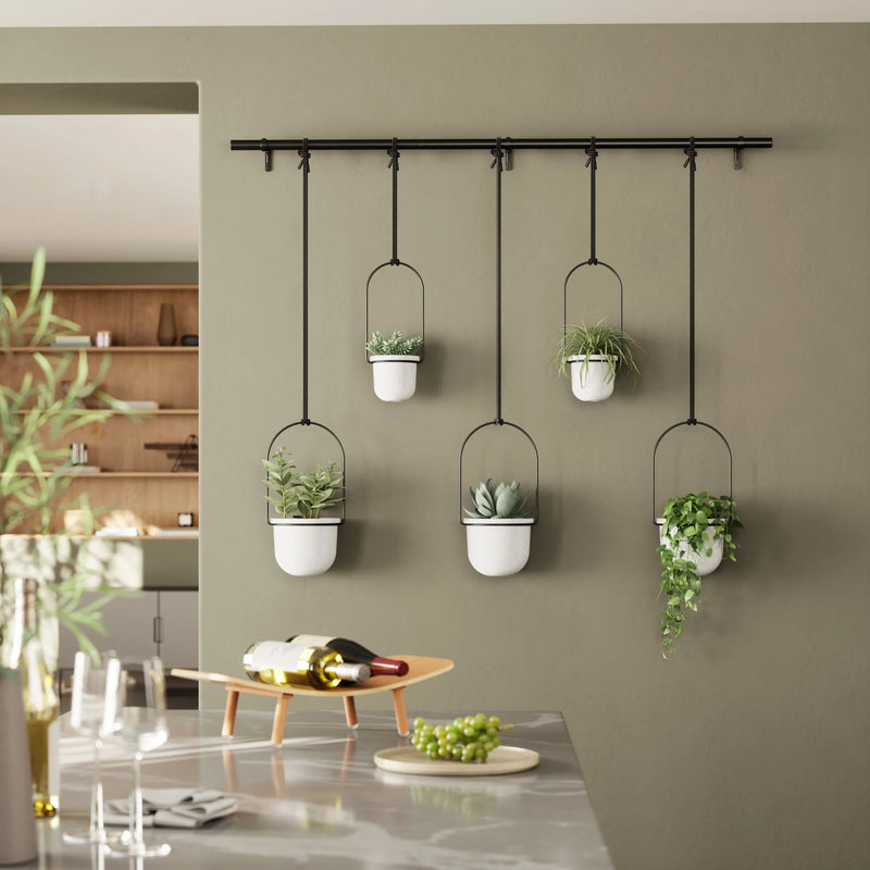 Triflora Hanging Planters - Set of 5