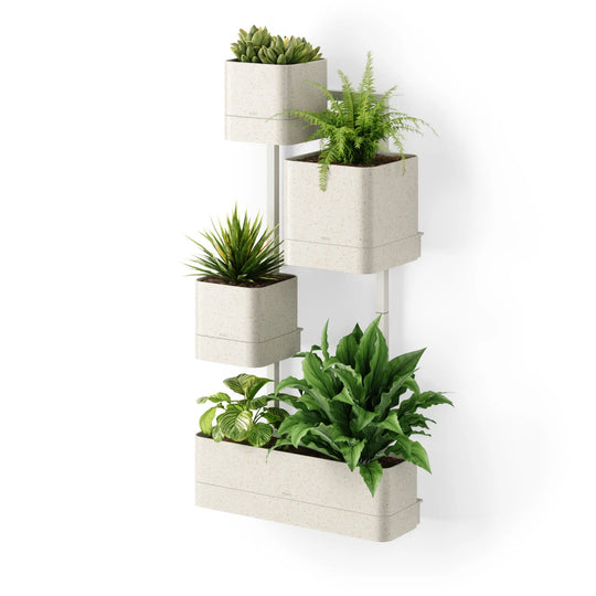 Cubiko Wall Planter - Umbra Pots & Planters - Sand - HORNE