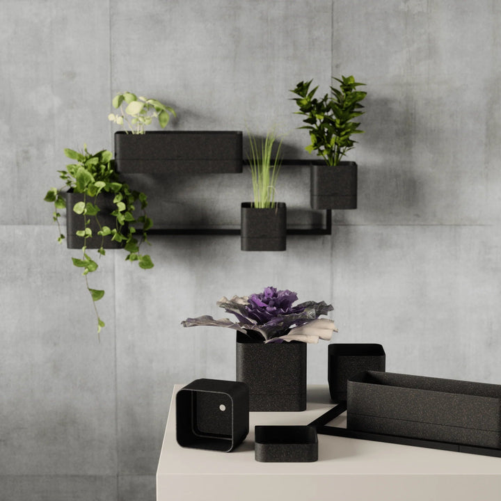 Cubiko Wall Planter - Umbra Pots & Planters - Black - HORNE