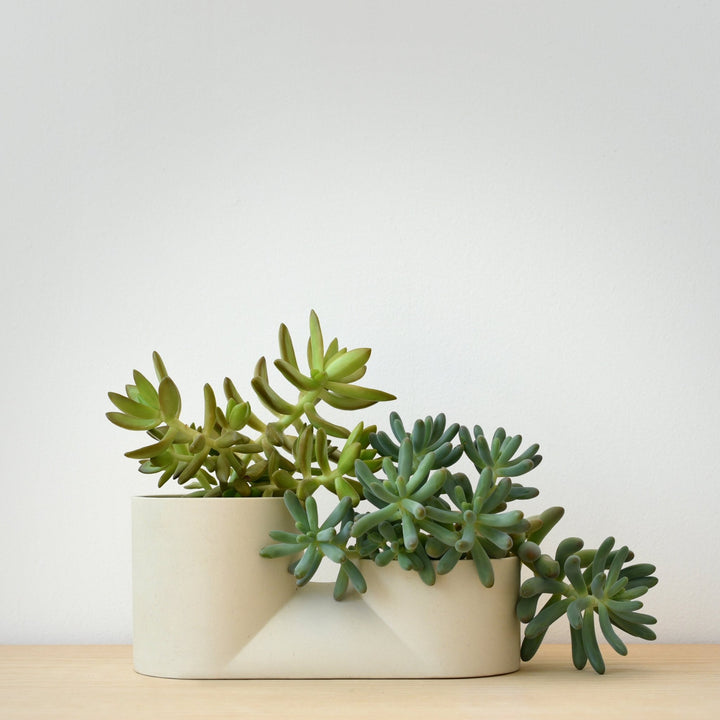 Double Planter - Misewell Pots & Planters - Black - HORNE