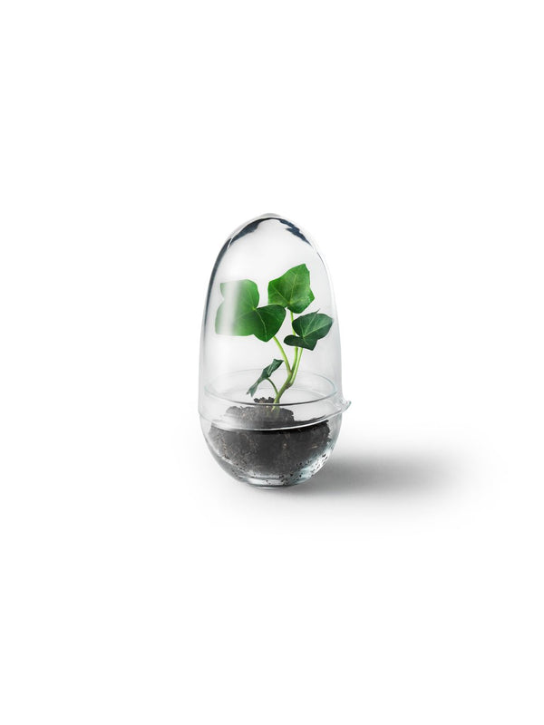 Grow - Design House Stockholm Pots & Planters - Small - HORNE
