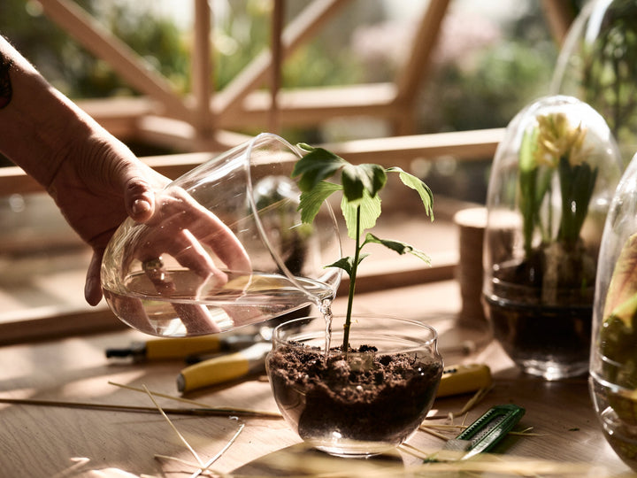 Grow - Design House Stockholm Pots & Planters - Large - HORNE