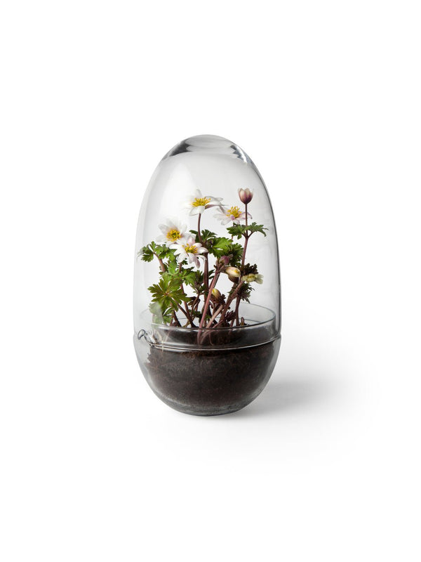 Grow - Design House Stockholm Pots & Planters - Medium - HORNE