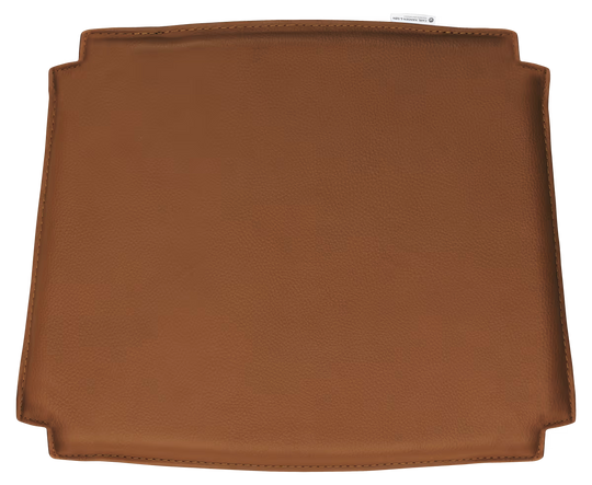 CU CH23 cushion