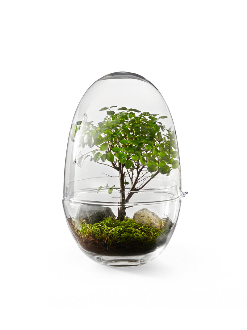 Grow