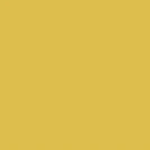 Mustard - RAL1003