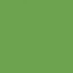 Apple Green - RAL6018