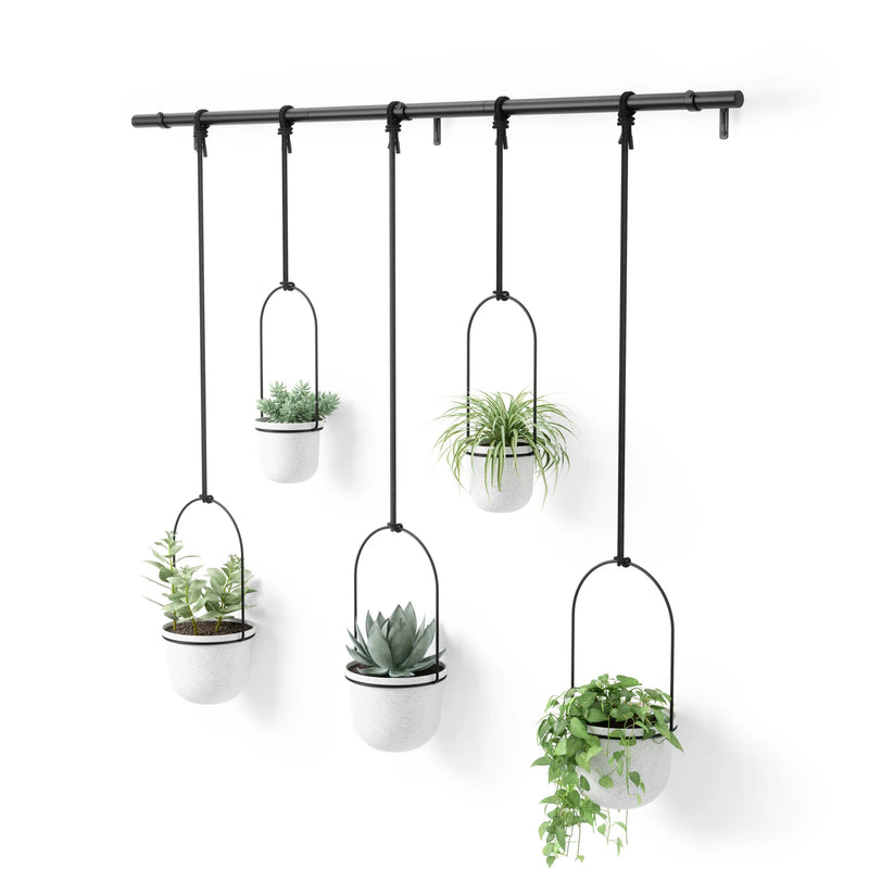 Triflora Hanging Planters - Set of 5