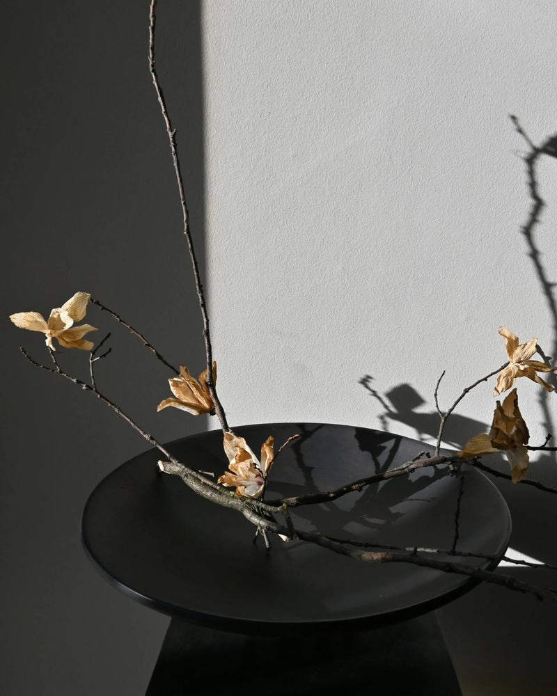 Medusa Tray - 101 Copenhagen Storage + Organization - Big - HORNE