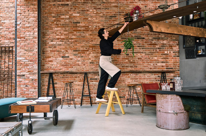 Metaphys Lucano Stepstool 2 - Step - Hasegawa USA Inc - Ladder + Step Stool - White - HORNE