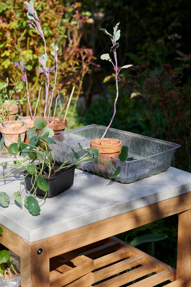 Pantry Module 1 - Skagerak by Fritz Hansen - Outdoor Furniture - HORNE