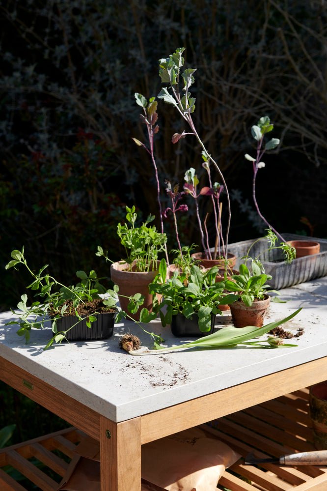 Pantry Module 2 - Skagerak by Fritz Hansen - Outdoor Furniture - HORNE