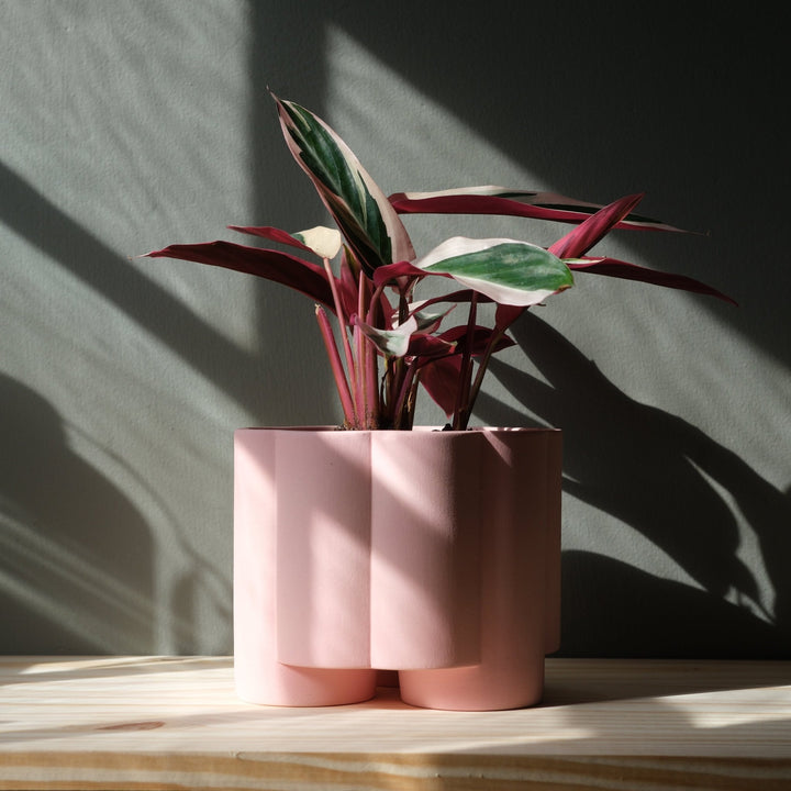 Pillar Planter - Misewell Pots & Planters - Pink Matte - HORNE