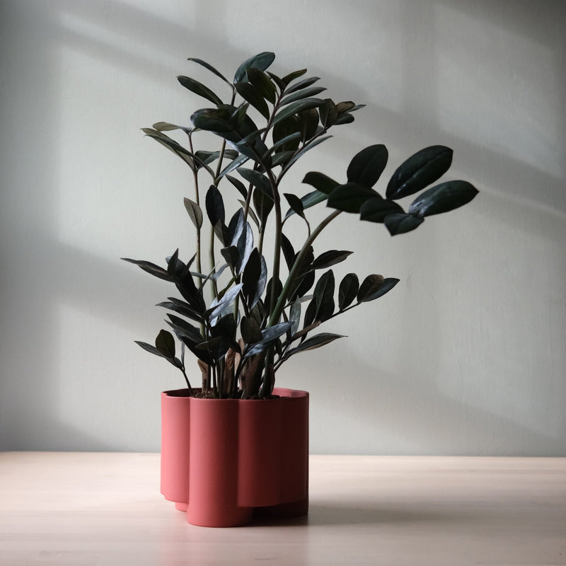 Pillar Planter - Misewell Pots & Planters - Brick - HORNE