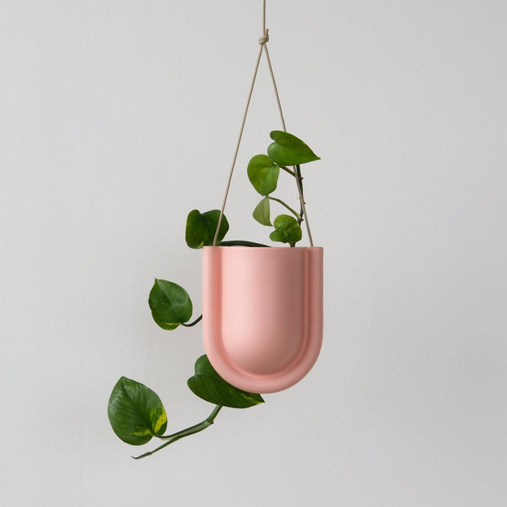 Portico Planter - Misewell Pots & Planters - Pink Matte - HORNE