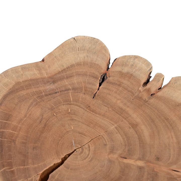 Solid Wood Stump - Urbia Stools + Benches + Ottomans - White Wash - HORNE