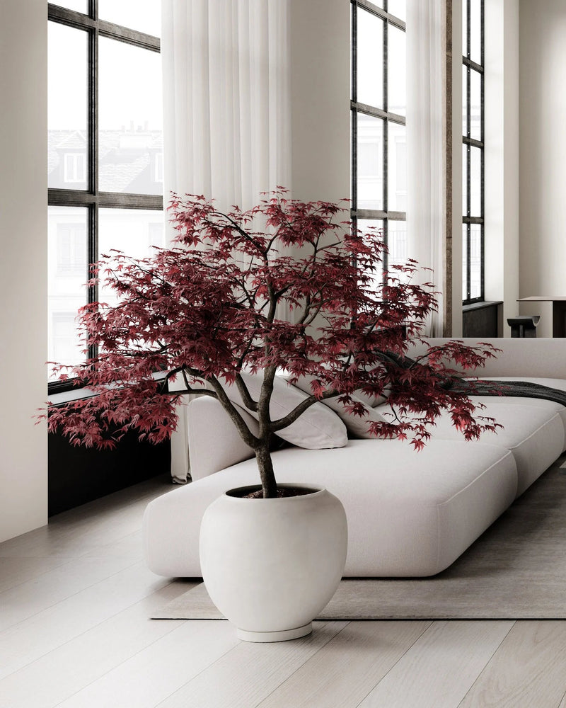 Sunao Plant Pot - 101 Copenhagen Vases - Birch - HORNE