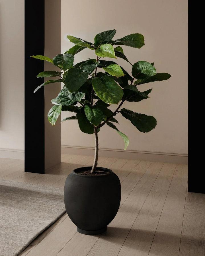 Sunao Plant Pot - 101 Copenhagen Vases - Black - HORNE
