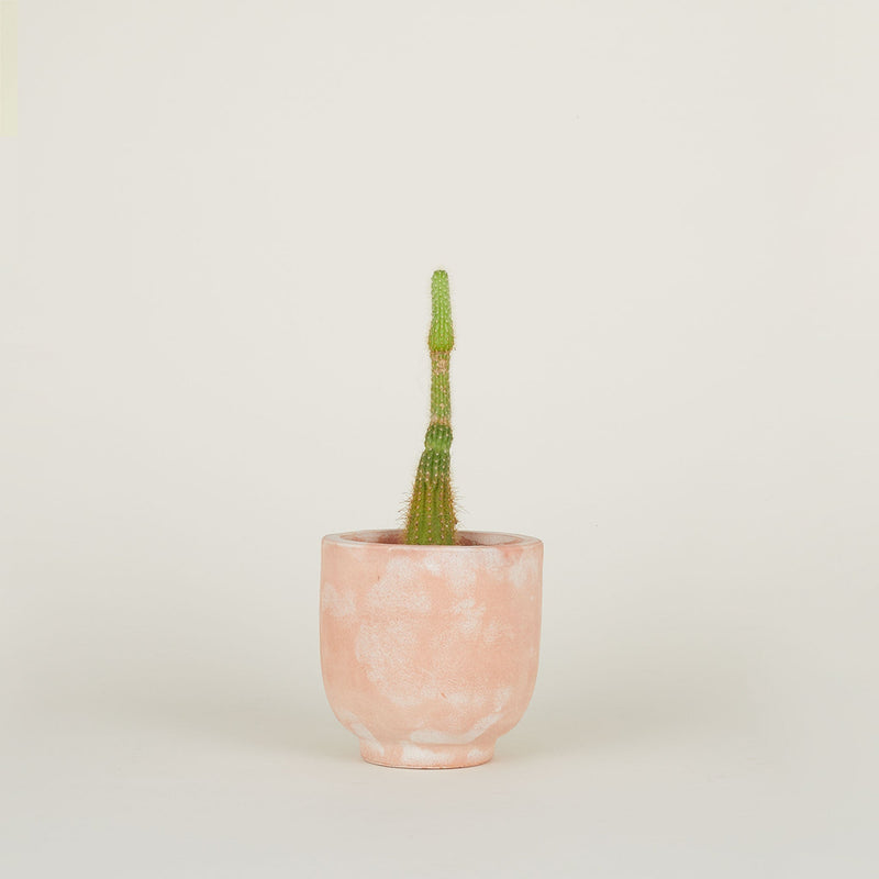 Terracotta Footed Planter - Medium by Hawkins New York