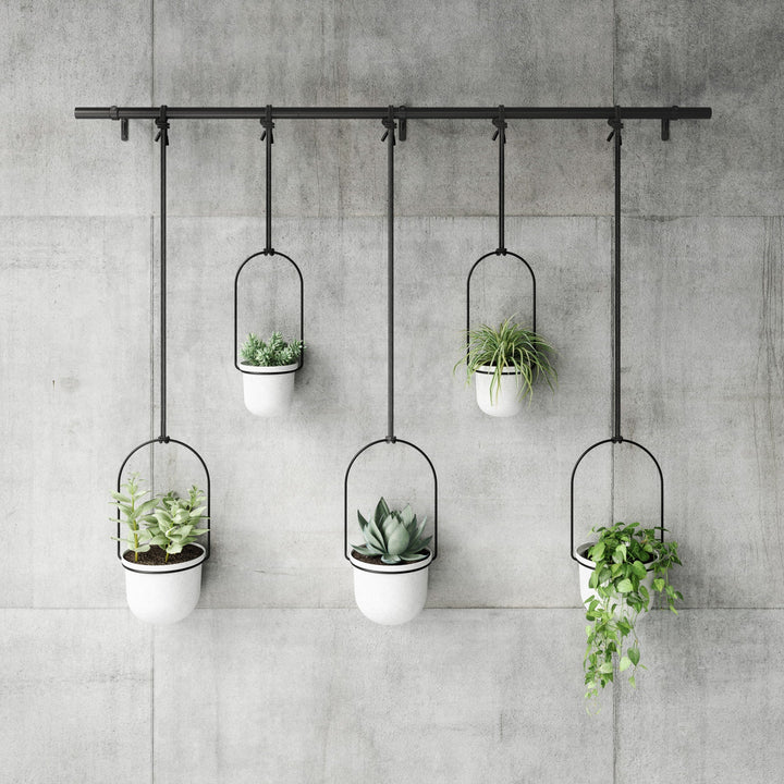 Triflora Hanging Planters - Set of 5 - Umbra Pots & Planters - White-Black - HORNE