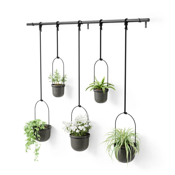 Triflora Hanging Planters - Set of 5 - Umbra Pots & Planters - Black - HORNE