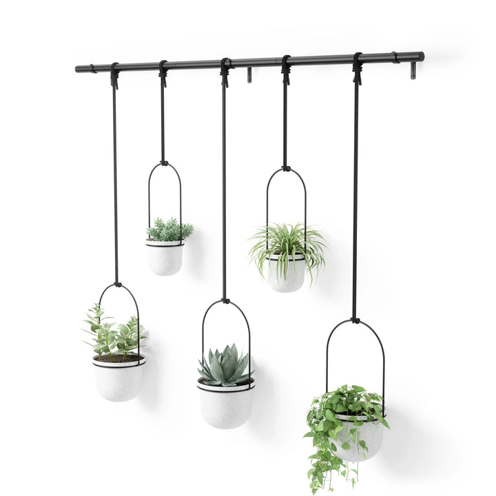 Triflora Hanging Planters - Set of 5 - Umbra Pots & Planters - White-Black - HORNE