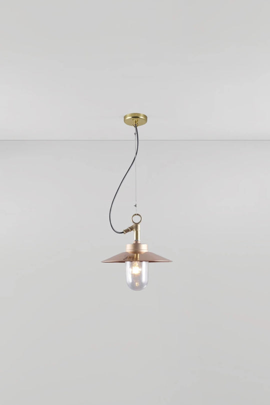 Well Glass Pendant With Visor - IP44 - Davey Lighting Outdoor Lights - Bronze - Clear - HORNE
