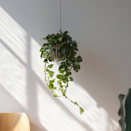 Wrap Hanging Kit - Misewell - Jet Black - HORNE