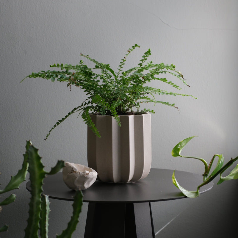Wrap Planter - Misewell Pots & Planters - dune - 4 inch - HORNE
