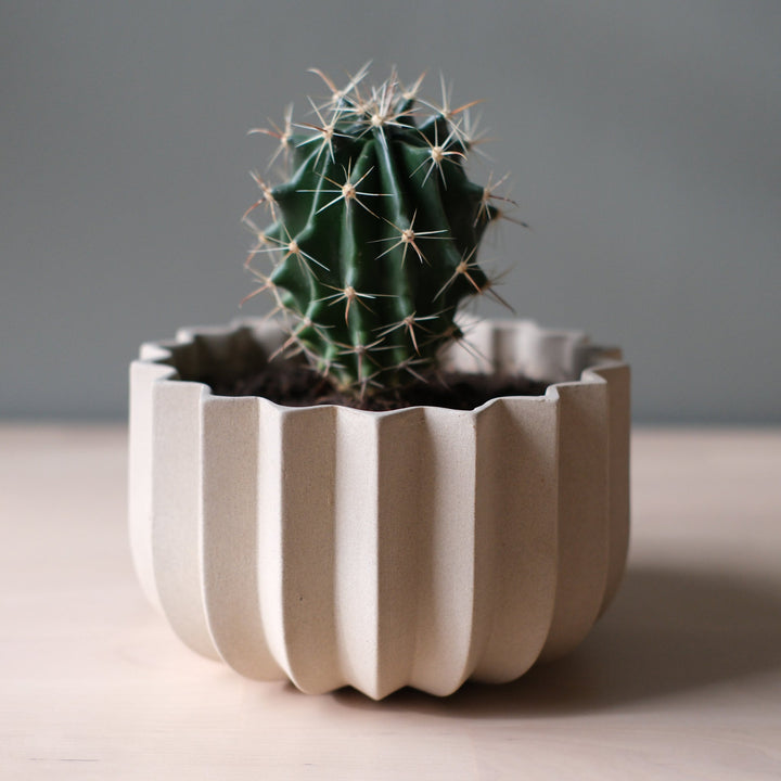 Wrap Planter - Misewell Pots & Planters - dune - 5 inch - HORNE