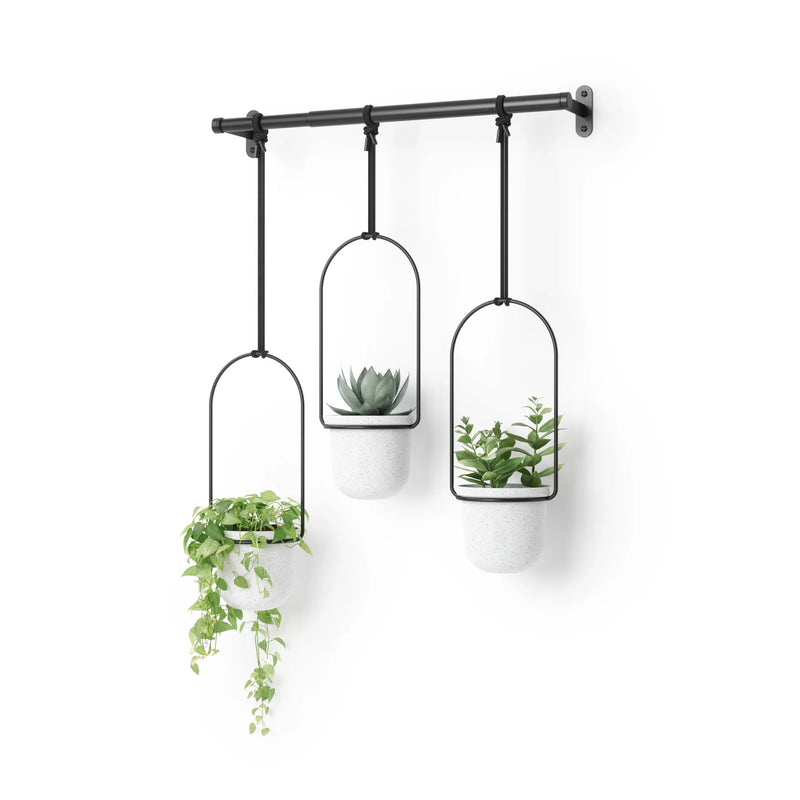 Triflora Hanging Planters - Set of 3