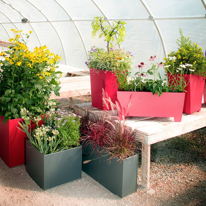 60 Gallon Square Planter - Loll Designs - Outdoor Accessories - Black - HORNE