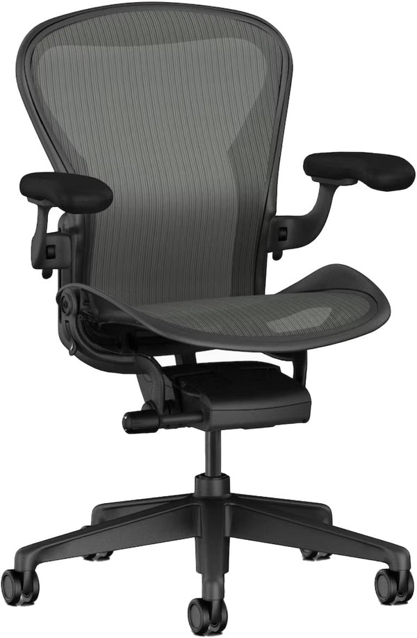 Aeron™ Chair - Basic