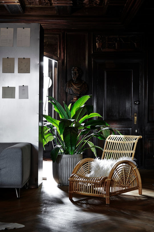 Arne Jacobsen Paris Chair - Sika Design - Chairs - HORNE
