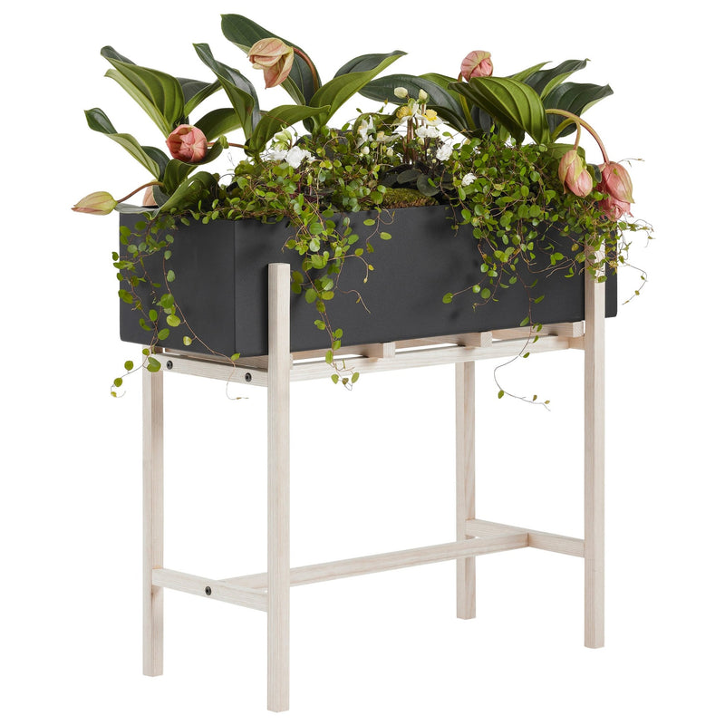 Botanic Stand - Design House Stockholm - Planters - HORNE