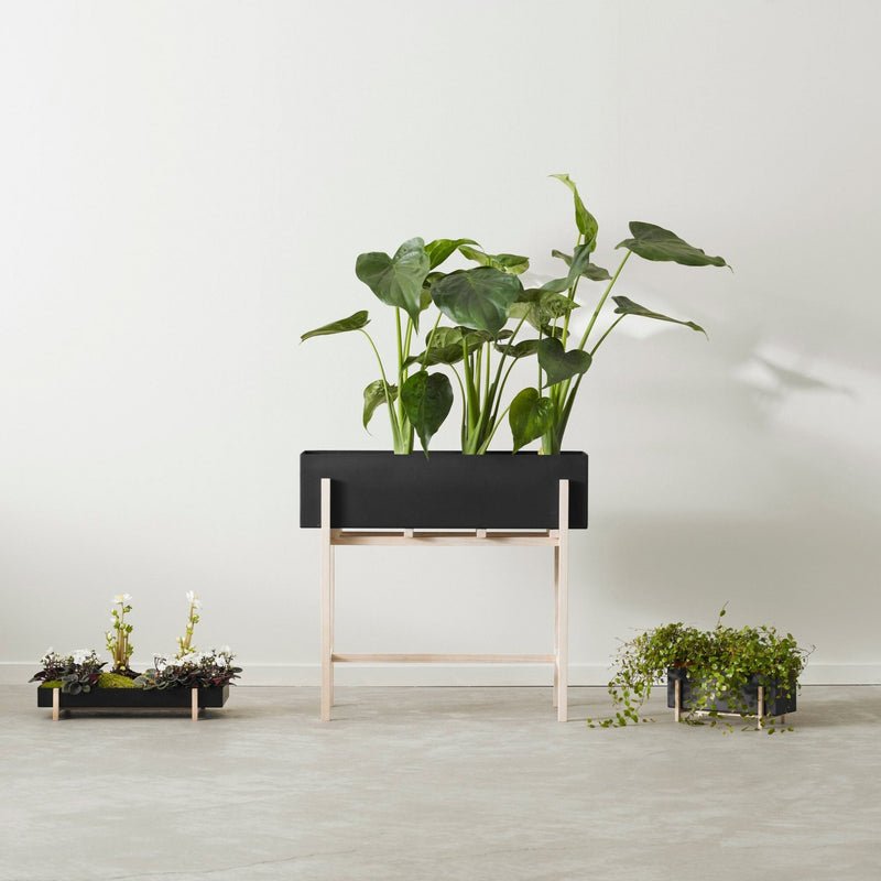 Botanic Tray - Design House Stockholm - Planters - HORNE