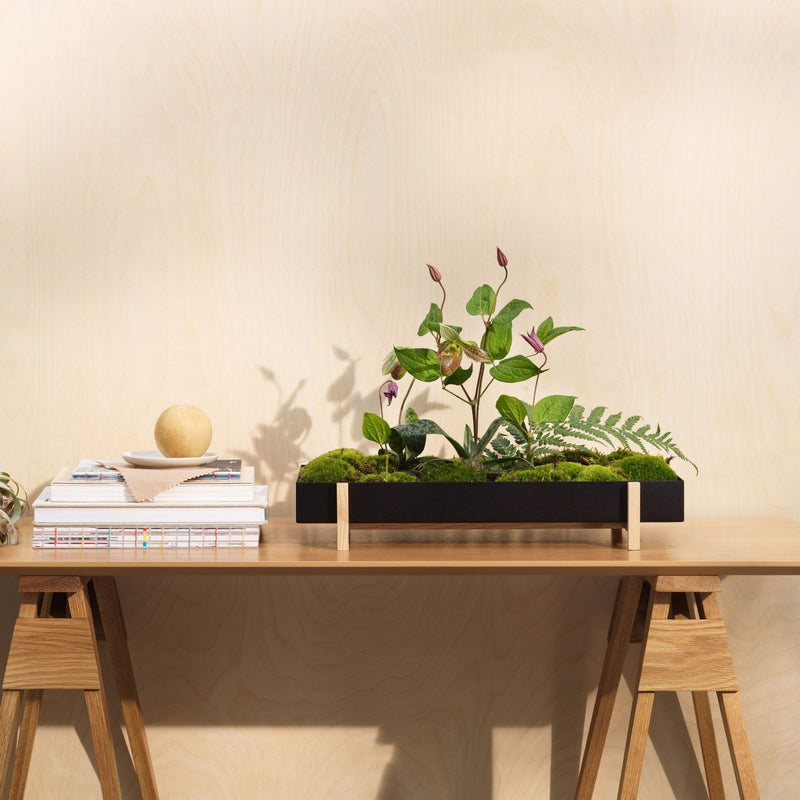 Botanic Tray - Design House Stockholm - Planters - HORNE