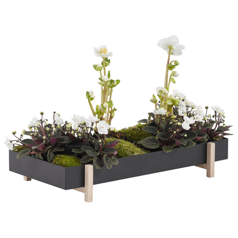 Botanic Tray - Design House Stockholm - Planters - HORNE