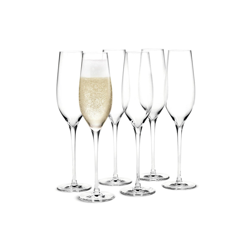 Cabernet Champagne Glass - Set of 6 - Holmegaard - Wine + Champagne Glasses - HORNE
