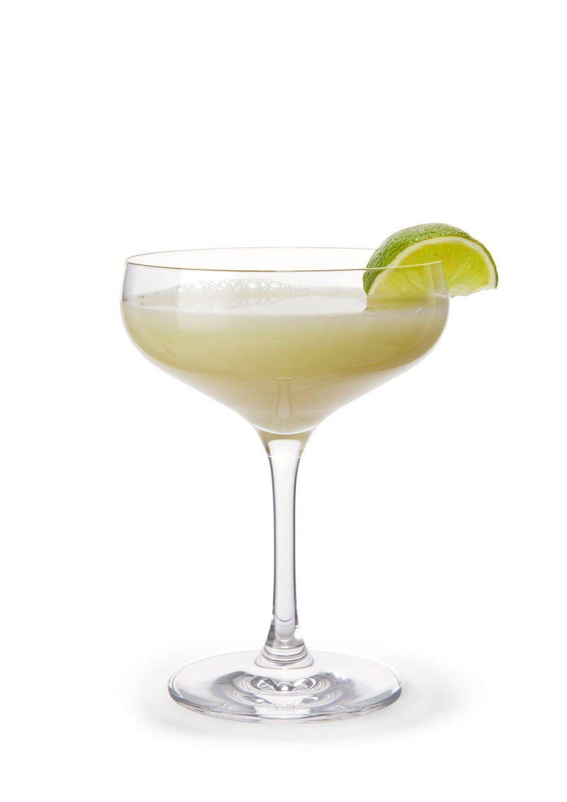 Cabernet Cocktail Glass - Set of 6 - Holmegaard - Beer + Cocktail Glasses - HORNE